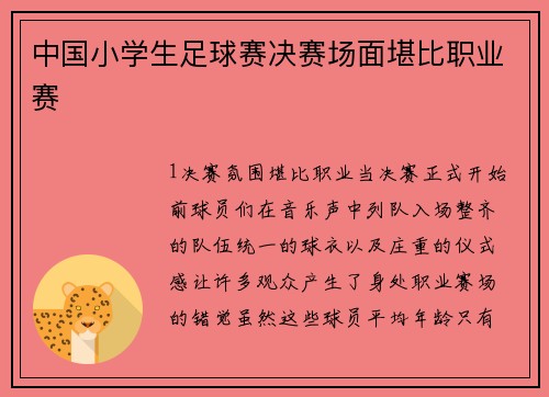 中国小学生足球赛决赛场面堪比职业赛