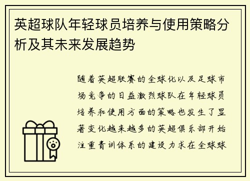 英超球队年轻球员培养与使用策略分析及其未来发展趋势